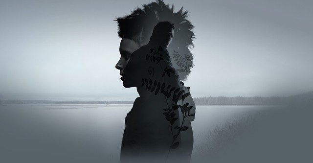 Watch the girl with the dragon tattoo putlocker new arrivals